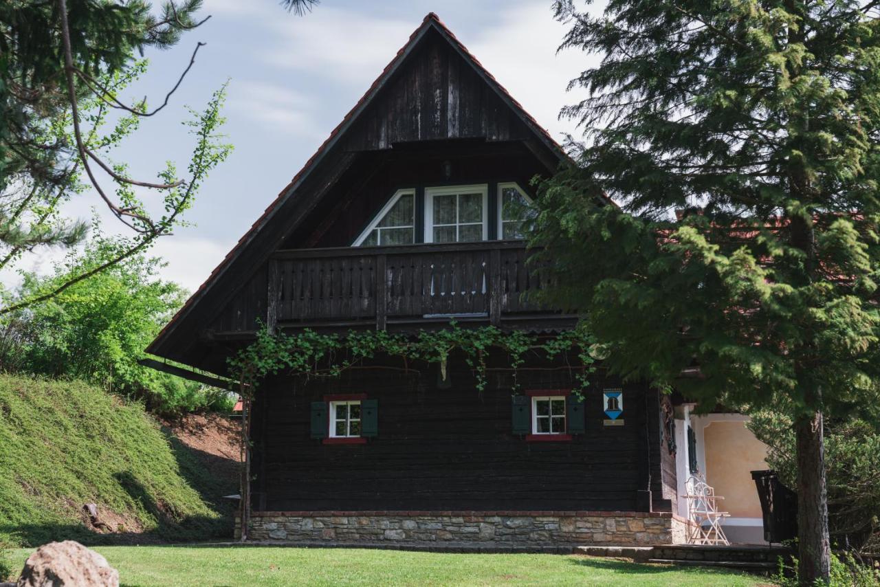 Ferienhaus Am Keltenkogel Großklein Zewnętrze zdjęcie
